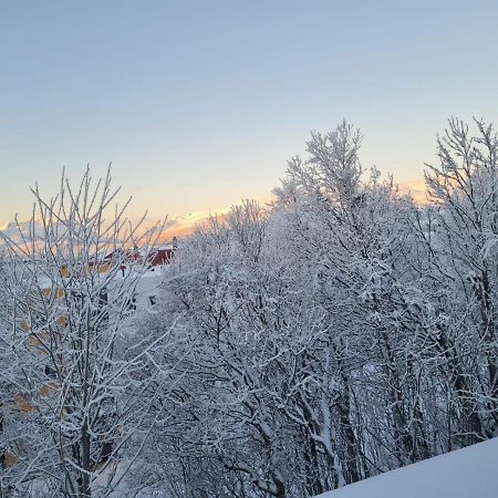 36 Sqm Studio Aparatment B Tromso Bagian luar foto
