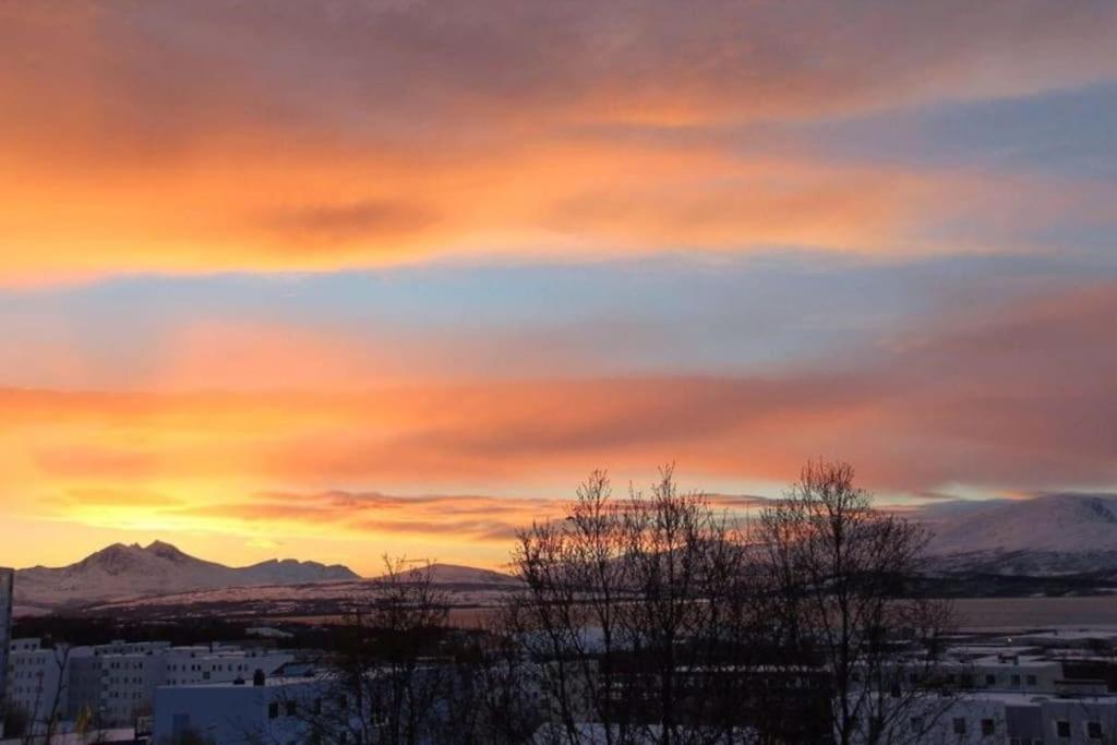 36 Sqm Studio Aparatment B Tromso Bagian luar foto